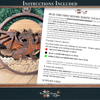Dragon Showstopper Ornament - Laser Ready File - Welcome Home Custom